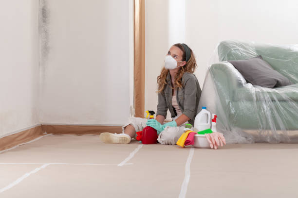 Reliable Mold Removal contractor in Reisterstown, MD by 24 Hour Mold Removal